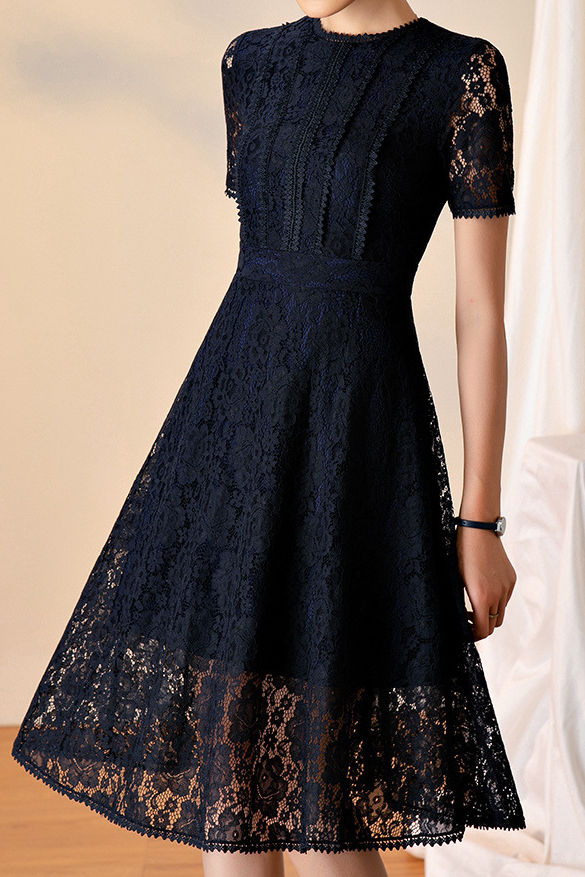 Stylish and Elegant Lace Dress