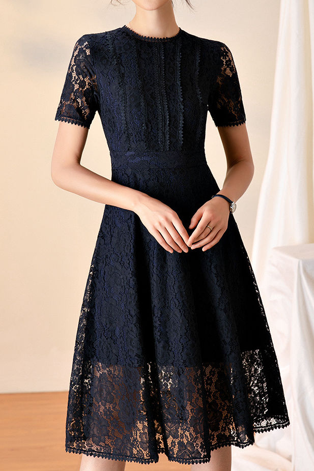 Stylish and Elegant Lace Dress