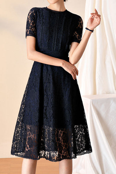 Stylish and Elegant Lace Dress