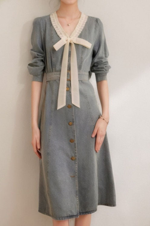 Elegant and Stylish Denim Dress