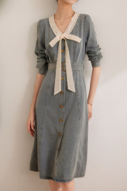 Elegant and Stylish Denim Dress