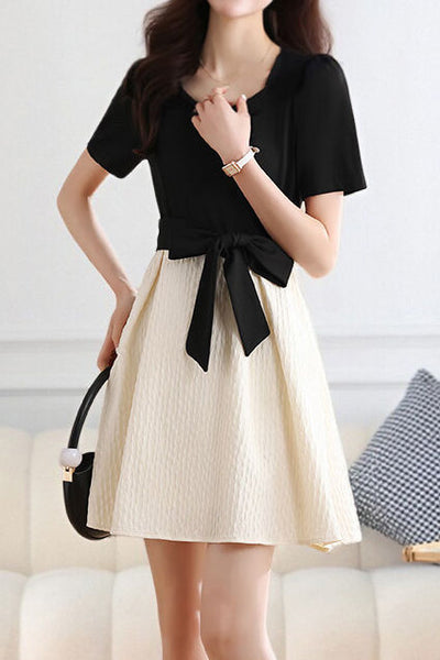 Elegant Color-Block Paneled Dress
