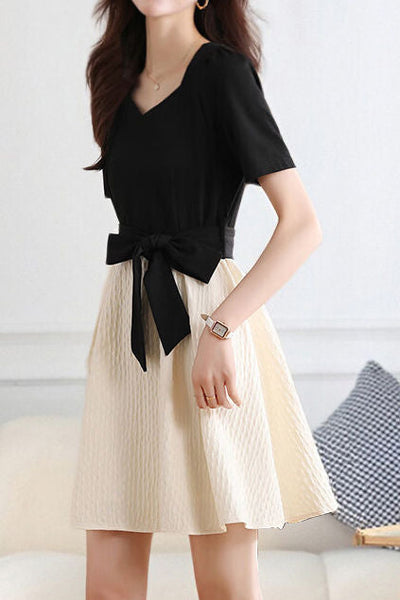 Elegant Color-Block Paneled Dress