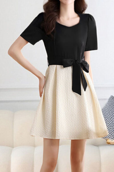 Elegant Color-Block Paneled Dress